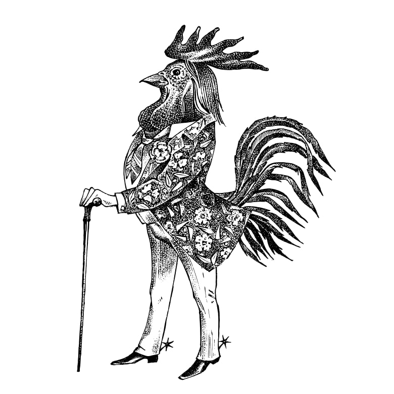 chicken dream